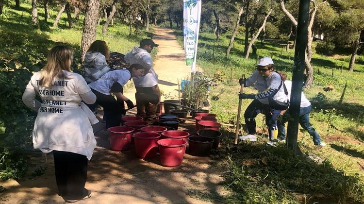 Συνεχείς Δενδροφυτεύσεις σε Λυκαβηττό και Στρέφη Πραγματοποιεί ο Δήμος Αθηναίων