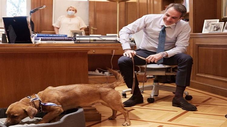 Βοή Πλησιαζόντων