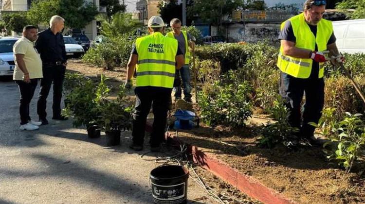 Δήμο Πειραιά: 70 Νέα Δέντρα Φυτεύτηκαν με Αφορμή την Παγκόσμια Ημέρα Περιβάλλοντος
