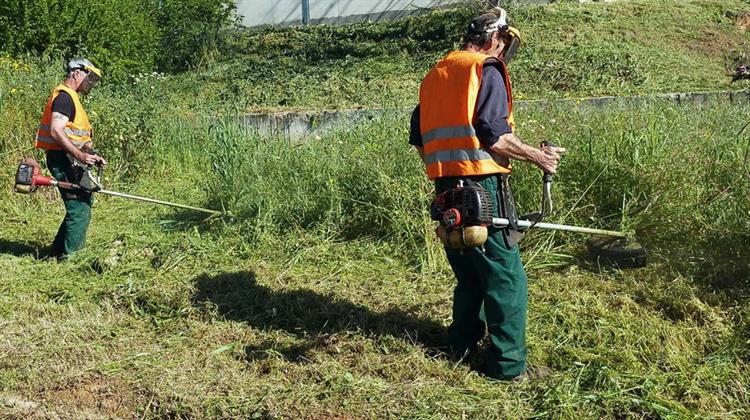 Καθαρισμοί Οικοπέδων: Σχεδόν 320.000 οι Δηλώσεις