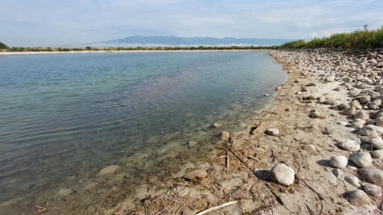 Κλιματική Aλλαγή: Πώς Αυξάνεται η Θερμική Καταπόνηση στην Ελλάδα – Ποιοι Κινδυνεύουν Περισσότερο