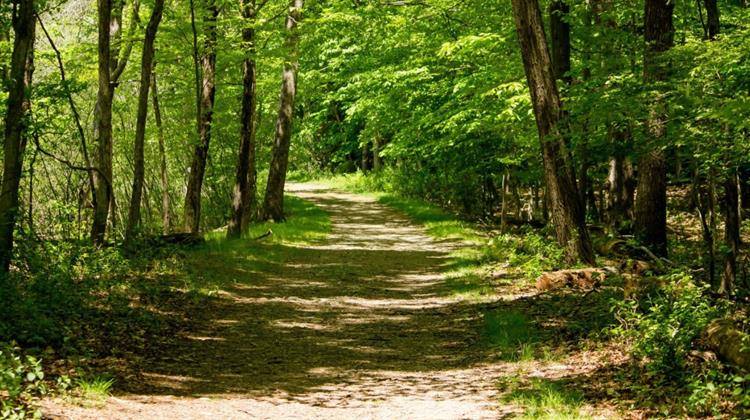 ΥΠΕΝ: Το πρόγραμμα Antinero και η προστασία των δασών μας δεν πρέπει να γίνονται πεδίο μικροπολιτικής εκμετάλλευσης