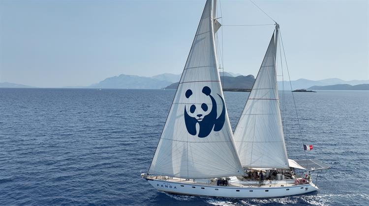 Βlue Panda: Ξανά στην Ελλάδα για την Προστασία της Ελληνικής Τάφρου!