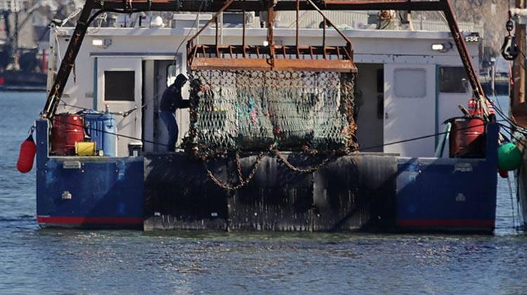 ΗΠΑ: Ομοσπονδιακό Δικαστήριο Αναστέλλει την Αλιεία στο Εθνικό Μνημείο των Νήσων του Ειρηνικού