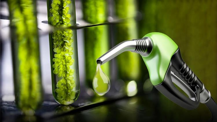 Insa Oil Building Bulgaria’s First Bioethanol Plant