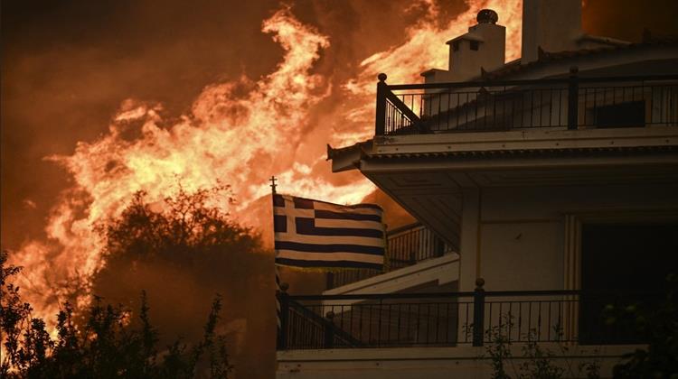 Reuters: Το Δίκτυο Προκαλεί Πολλές Δασικές Πυρκαγιές στην Ελλάδα