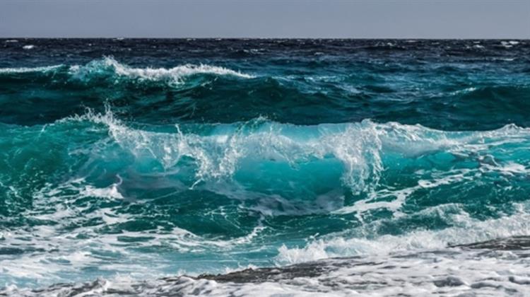 Copernicus Marine: Η Υπερθέρμανση των Ωκεανών Ευνοεί την Εξάπλωση Χωροκατακτητικών Ειδών κυρίως στη Μεσόγειο