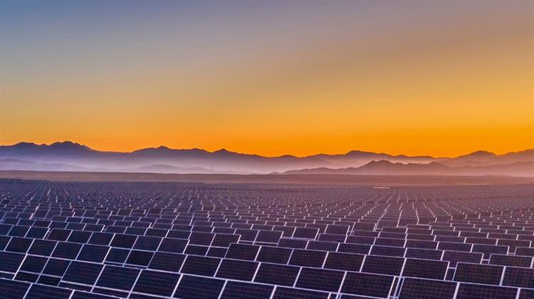 IEA Trims Renewables Outlook as US Policy Shifts and China Auction Reforms Weigh