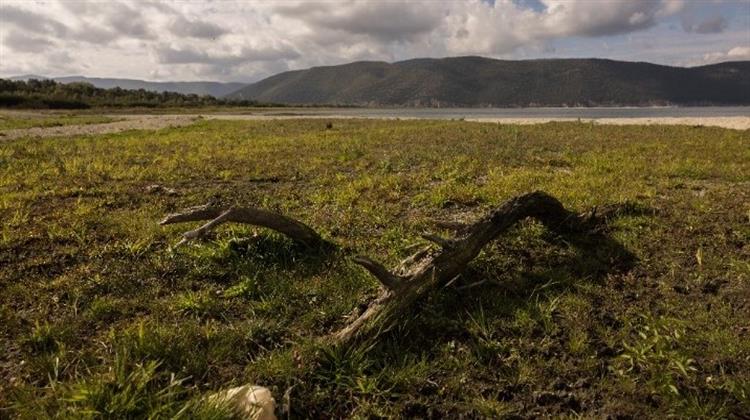 Η Κλιματική Αλλαγή Απειλεί τη Μικρή Πρέσπα - Πέφτει Δραματικά η Στάθμη της με Μεγάλες Συνέπειες
