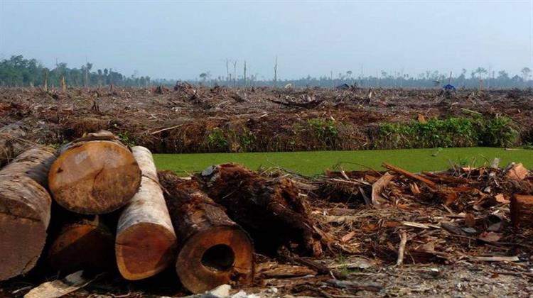 FAO: Περίπου 1,7 Δισεκατομμύριο Άνθρωποι Πλήττονται από την Υποβάθμιση των Εδαφών