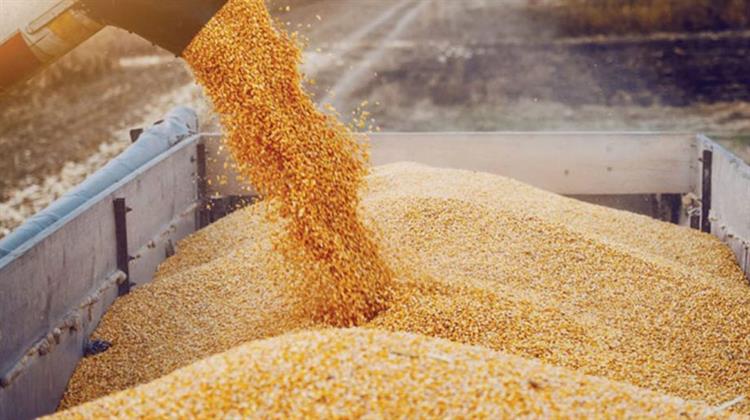 Ρωσία: Έχει Παρέλθει o Χρόνος της Συμφωνίας για τη Διέλευση Σιτηρών Μέσω Μαύρης Θάλασσας