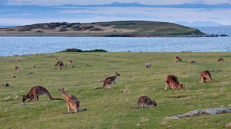 Η Αυστραλία Ψηφίζει Νόμο, Αναδιαμορφώνοντας την Προστασία της Φύσης