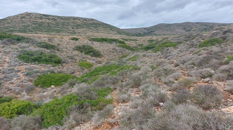 Συστηματική Χαρτογράφηση των Ενεργών Σεισμικών Ρηγμάτων με τα  Ψηφιακά Μοντέλα Εδάφους Από το Ελληνικό Κτηματολόγιο