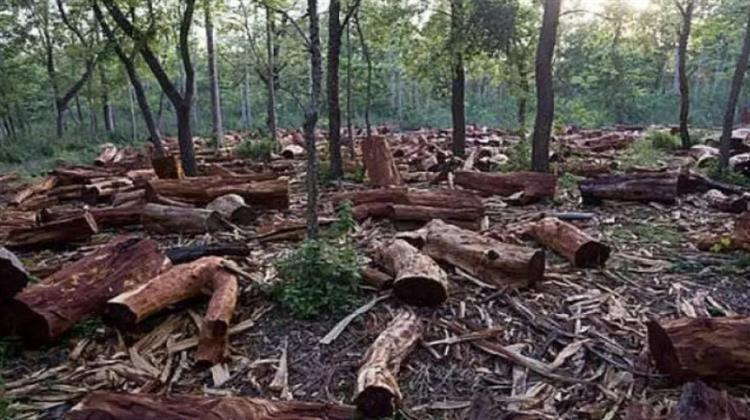 Ο Νόμος της ΕΕ για την Αποψίλωση των Δασών Αντιμετωπίζει νέα Προβλήματα