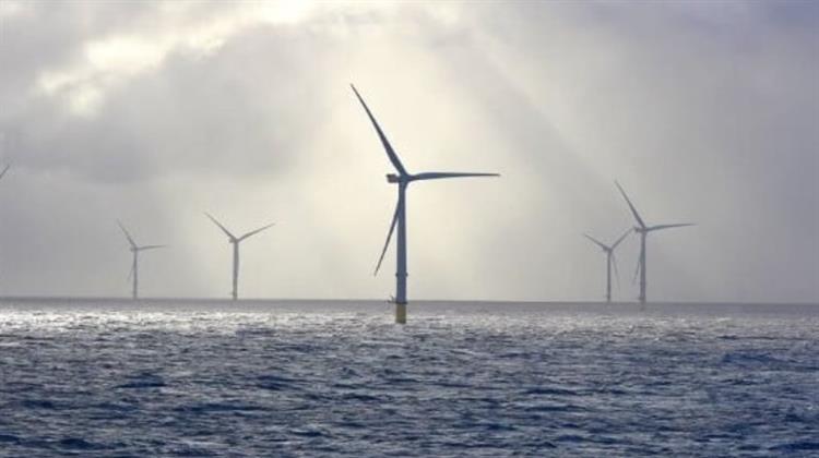 Γερμανία-Μελέτη: Από Υπεράκτιες Ανεμογεννήτριες Σκοτώνονται Μόνο 12 Αποδημητικά Πτηνά Ετησίως