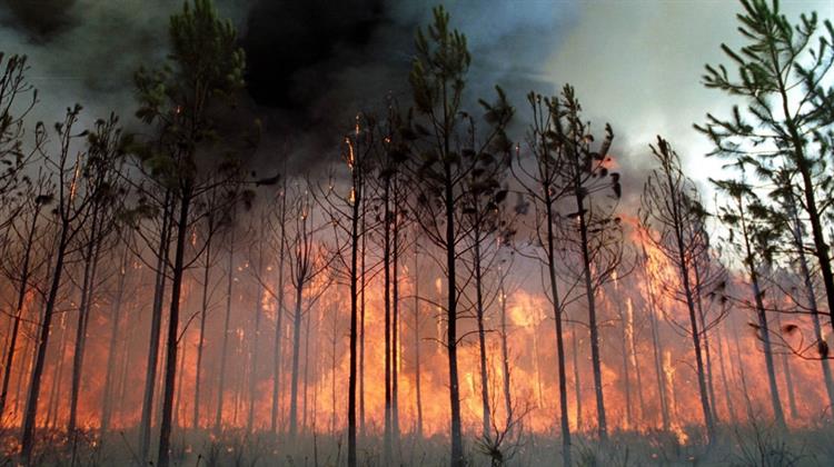 Υπεγράφη η KYA με την Oποία Eγκρίνεται ο Εθνικός Χάρτης Εκτίμησης Κινδύνου Δασικών Πυρκαγιών