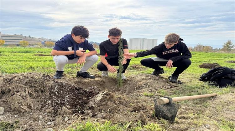 600 Νέα Δέντρα Ριζώνουν για Μια Πιο Πράσινη Θεσσαλονίκη