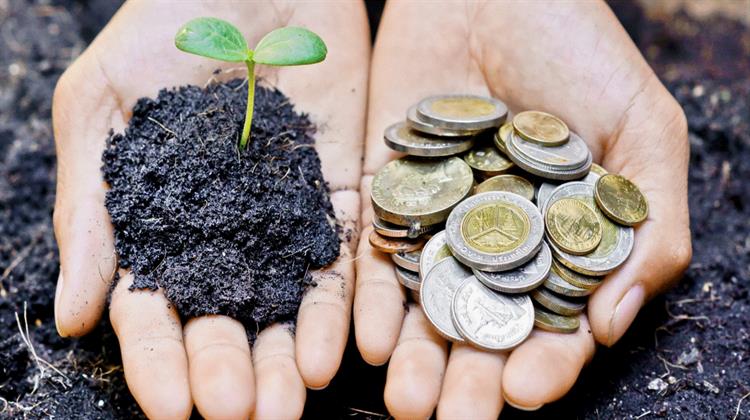 SAFER: Το Καινοτόμο Ψηφιακό Εργαλείο για την Περιβαλλοντική Ευθύνη που Αναπτύχθηκε στην Ελλάδα