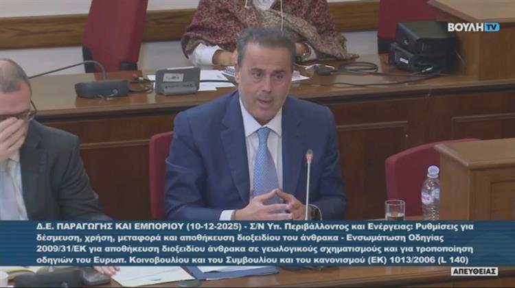 Παπασταύρου στη Βουλή: «Το CCS Συμβάλλει στην Απανθρακοποίηση της Βιομηχανίας  Χωρίς Μείωση Ανταγωνιστικότητας»