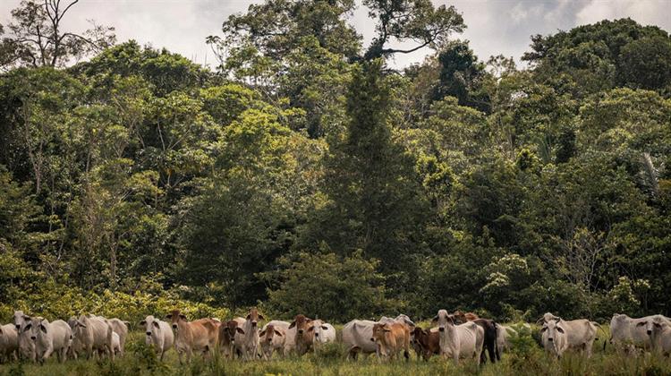 Συνεργασία Πανεπιστημίων για την Αειφορία της Κτηνοτροφίας στα Υψηλά Όρη Υπό Συνθήκες Κλιματικής Αλλαγής