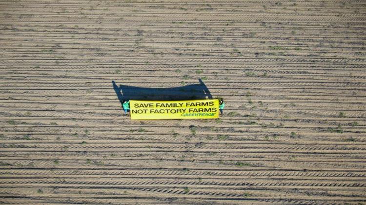 Greenpeace:  Έως και το 40% των Χρημάτων της ΚΑΠ Πηγαίνουν Μόλις στο 1% των Παραληπτών