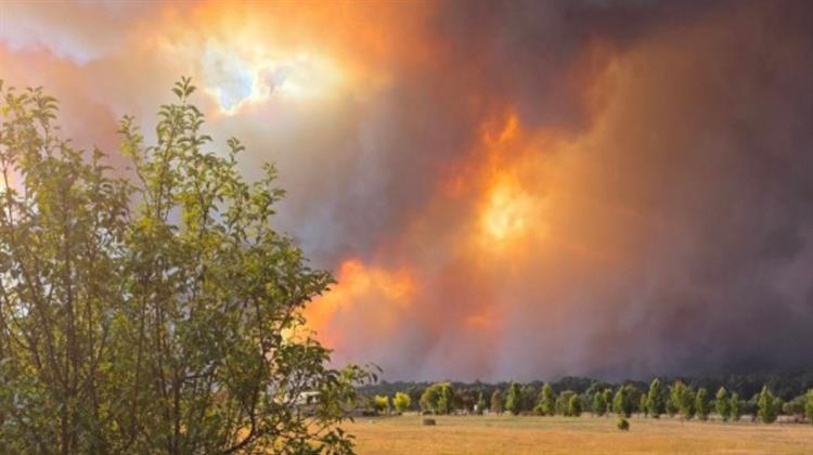 Αυστραλία: Κύμα Καύσωνα, Θερμοκρασίες Ρεκόρ και Πυρκαγιές - Χιλιάδες Νοικοκυριά Χωρίς Ρεύμα