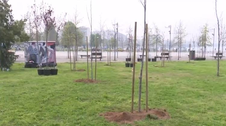 Θεσσαλονίκη: Πρασινίζει το Campus του ΑΠΘ με τη Φύτευση 500 Νέων Δέντρων