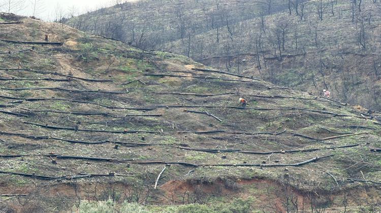 Επίσκεψη Παπασταύρου στην Αχαΐα για τα Αντιδιαβρωτικά και Αντιπλημμυρικά Έργα - Προχωρά το Φ/Β Πάρκο των Ενεργειακών Κοινοτήτων Δ. Ελλάδας