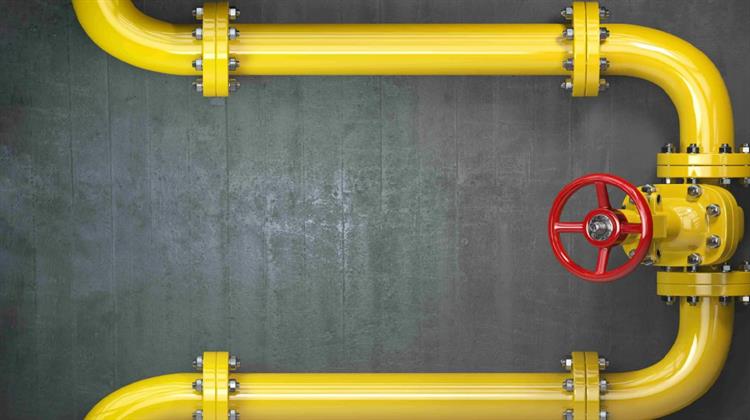 Στελέχη του Συμβουλίου Ενεργειακής Κυριαρχίας των ΗΠΑ Τονίζουν την «Εξαιρετικά Υποστηρικτική» Στάση της Ελλάδας προς τον Κάθετο Διάδρομο