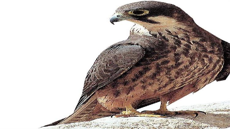 Τα Θαυμαστά Ταξίδια του Μαυροπετρίτη