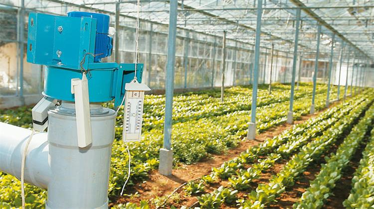 Θερμοκήπια: Φθηνή Ενέργεια από Γεωθερμικά Πεδία