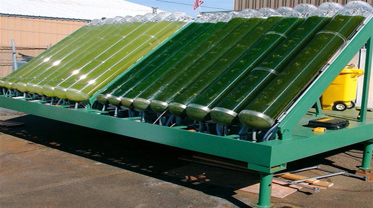 Η Algae Farms Εγκαινίασε την ΕΝΑ.ΣΤΕΠ. Μέσω Ηλεκτρονικού Βιβλίου Προσφορών
