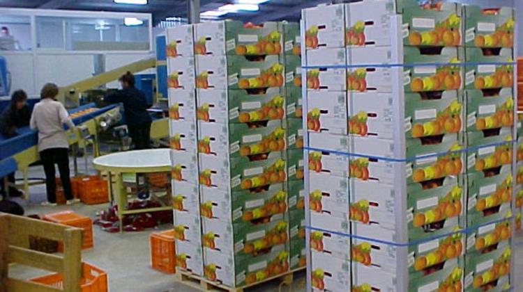 Xαλάρωση του Εμπάργκο Εισαγωγών Από Ελλάδα Κύπρο και Ουγγαρία Εξετάζει το Ρωσικό Υπουργείο Γεωργίας