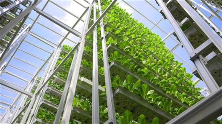 WWF Ελλάς: Έξι  στους Δέκα Έλληνες «Ψηφίζουν» Υπέρ της Καλλιέργειας Αστικών Λαχανόκηπων