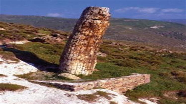 Νέο Απολιθωμένο Δάσος Αποκάλυψε η Διάνοιξη του Νέου Δρόμου Καλλονής - Σιγρίου