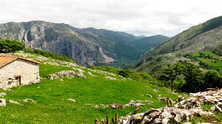 Δημόσια Διαβούλευση της Ε.Ε.: Συναγερμό για τη Φύση Σημαίνουν 100 Οργανώσεις