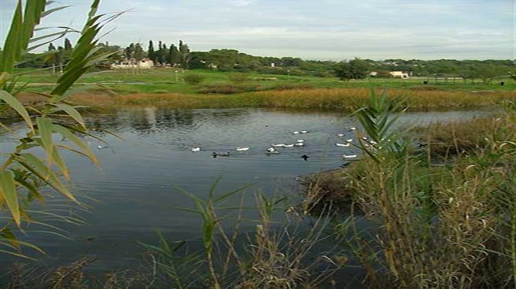 Ένα Μοναδικό Καταφύγιο Άγριας Φύσης Δυτικά της Αθήνας