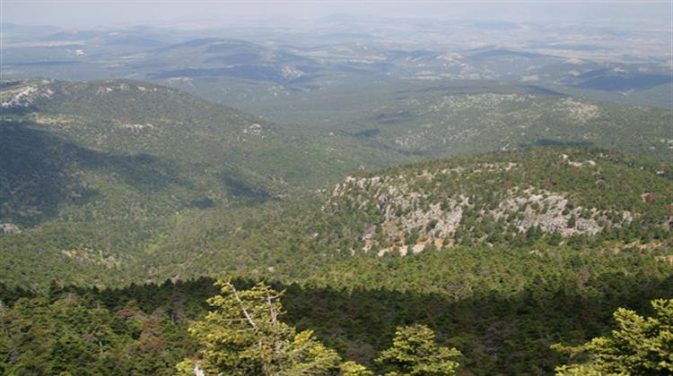 Κτηματολόγιο: Παρατείνεται η Προθεσμία Δηλώσεων στους Δήμους της Περιοχής της Πάρνηθας