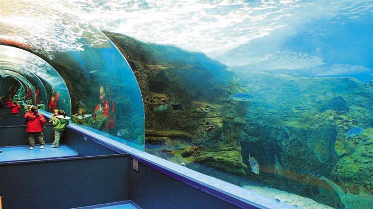 Συνέδριο για την Προώθηση της Περιβαλλοντικής Αγωγής για το Θαλάσσιο Περιβάλλον στην Κρήτη