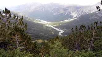 Δεκαετή Απαγόρευση της Εκμετάλλευσης των Δασών Αποφάσισε η Αλβανία