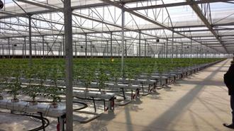 Πρωτότυπα Γεωθερμικά Θερμοκήπια με Έλεγχο της Απόδοσης της Παραγωγής μέσω Η/Υ και Smartphones