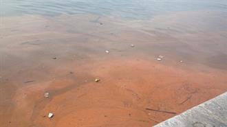 Κόκκινα «Βάφτηκαν» τα Νερά του Θερμαϊκού