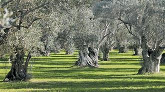 Εφιάλτης για την Ελλάδα το 2050 Λόγω Κλίματος