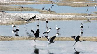 Η Επαναδημιουργία της Λίμνης Κάρλα