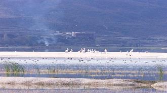 Ξαναγεμίζει με Νερό η Λίμνη Δοϊράνη