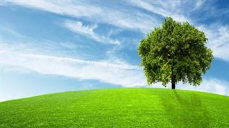 Γιατί Ξεχάσαμε το Περιβάλλον;