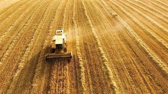 Η Χρυσή Σοδειά Ρίχνει τις Τιμές για το Σιτάρι