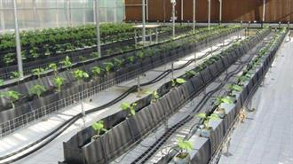 Η Γεωθερμία, Σύμμαχος των Καλλιεργητών της Βορείου Ελλάδος