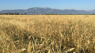 Σοκ ή Δέος; 100 Νέες Περιοχές στο Natura!!