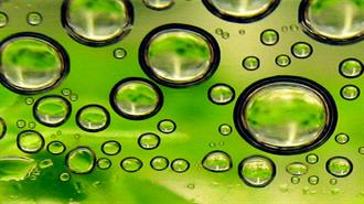 South Korean Scientists Use E. Coli to Make Gasoline